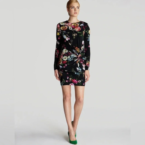 Ted Baker Izzie Oil Painting Dress in floral pattern, Crewneck, long sleeves 0 - Picture 1 of 13